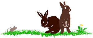 Logo-RabbitMeadows-layer 2